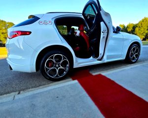 Alfa Romeo Stelvio (Starfire)